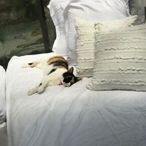 Meet your Posher, Sydney